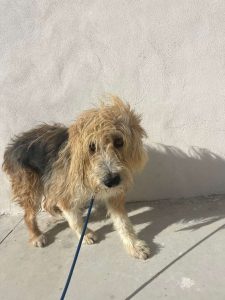 462395685_405800342410623_8685946387166144923_n