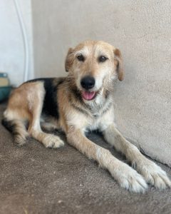 536686164_1267562578749205_2079833306333434845_n 536686164_1267562578749205_2079833306333434845_n