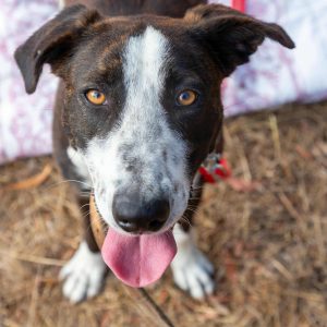 541605189_1334103355019269_3811998389796971504_n 541605189_1334103355019269_3811998389796971504_n