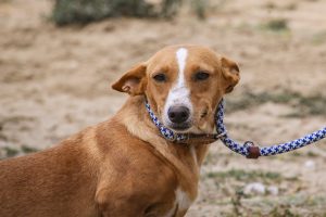 1000048596 1000048596