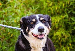 1000048647 1000048647