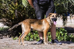 1000048657 1000048657