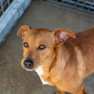 550942870_1706053080076831_4156644226272468236_n 550942870_1706053080076831_4156644226272468236_n