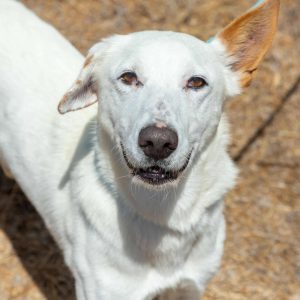 551046308_1519783972362554_5664713870585426477_n 551046308_1519783972362554_5664713870585426477_n