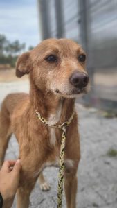 551875365_768512436182278_7282643984423388906_n 551875365_768512436182278_7282643984423388906_n