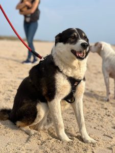 WhatsApp Image 2025-09-21 at 11.48.57 WhatsApp Image 2025-09-21 at 11.48.57