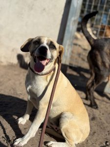 WhatsApp Image 2025-10-07 at 15.19.24 (2) WhatsApp Image 2025-10-07 at 15.19.24 (2)