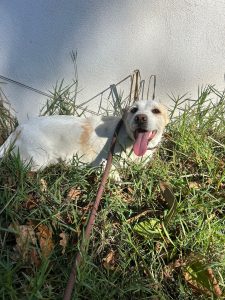 WhatsApp Image 2025-10-07 at 15.19.55 (1) WhatsApp Image 2025-10-07 at 15.19.55 (1)