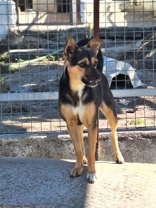 WhatsApp Image 2025-10-07 at 17.42.51 (1) WhatsApp Image 2025-10-07 at 17.42.51 (1)