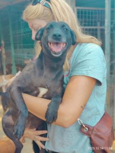 att.DlJZ3O48YOe1vUNRL6AzK30SU4RRBzGT3PtL1Wi4iV4 att.DlJZ3O48YOe1vUNRL6AzK30SU4RRBzGT3PtL1Wi4iV4