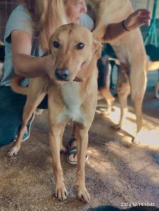 att.LESuIc77vmCxpp3YTuccfaZ3N1tVhOL6tkL7D-TRIC8 att.LESuIc77vmCxpp3YTuccfaZ3N1tVhOL6tkL7D-TRIC8