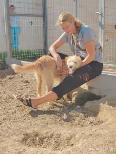 att.MDc-5WYj_Ggm-mR2wWLEha1oB9AM6gHw7Oklu491vxw att.MDc-5WYj_Ggm-mR2wWLEha1oB9AM6gHw7Oklu491vxw