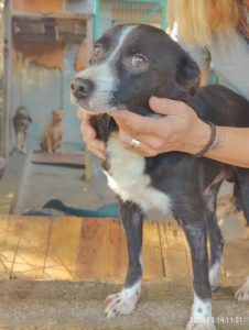 att.QkOR0UT0molifPgO0GRHvkQ1SkLzs9SdWnlfbqT6wYA att.QkOR0UT0molifPgO0GRHvkQ1SkLzs9SdWnlfbqT6wYA