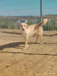 att.Wj3CYZ97cCDdydyg1RXE02zYkMAusWob_0oH5S3JGCs att.Wj3CYZ97cCDdydyg1RXE02zYkMAusWob_0oH5S3JGCs