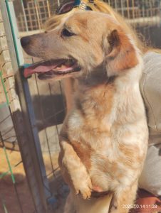 att.q2Gnl91xMn63OuOcOfYkerQpv3LxIjPTRc5Rv_A-tYk 2 att.q2Gnl91xMn63OuOcOfYkerQpv3LxIjPTRc5Rv_A-tYk 2