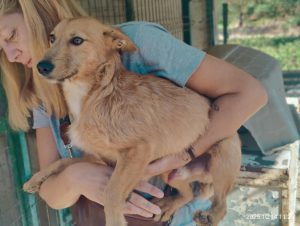 att.tzZGqfJLBmA8EB8_yIoxEvxicMd-X7XdYFhn7d0KBBI att.tzZGqfJLBmA8EB8_yIoxEvxicMd-X7XdYFhn7d0KBBI