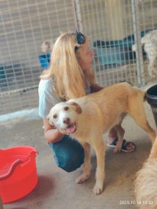 att.yh8B_-uqzOuaGbmBScOjHZ0JjG5s12ASAU0ixPa2J0A 2 att.yh8B_-uqzOuaGbmBScOjHZ0JjG5s12ASAU0ixPa2J0A 2