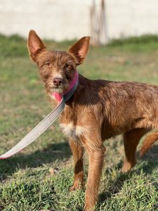 WhatsApp Image 2025-10-18 at 19.05.57