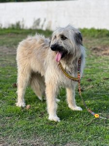 WhatsApp Image 2025-10-18 at 19.07.23