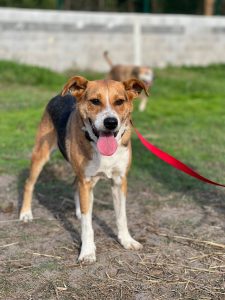 WhatsApp Image 2025-10-18 at 19.07.40