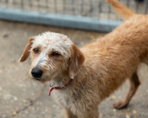 567100136_1569442307520707_5164214083841971761_n