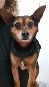 592274182_4416147198670040_135078375336172448_n