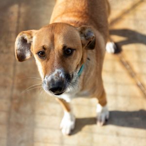 594010253_840848628787996_6059244493122963668_n