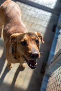 594429787_1379320017177441_2244558224118202682_n