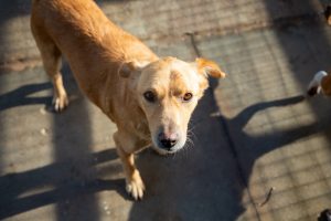 594469284_2553164171723267_2850585330395837960_n