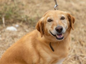 608424958_2074836576671637_7824853338998228650_n