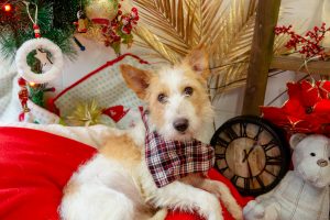 610189657_25393411070279562_3681393554597674583_n