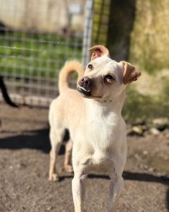 616555460_1394129992759129_1975418490554277410_n