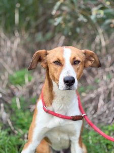 WhatsApp Image 2026-01-03 at 21.24.47 (2)