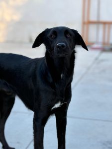 WhatsApp Image 2026-01-05 at 21.05.01