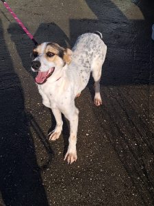 WhatsApp Image 2026-01-05 at 21.40.40