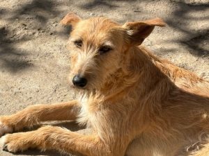 WhatsApp Image 2026-01-14 at 11.17.17