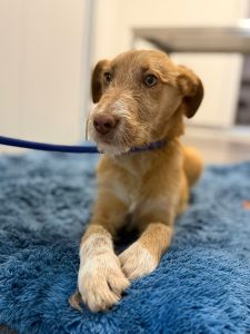 1fce94c0-efc8-4884-bd36-a25b4458e7c8