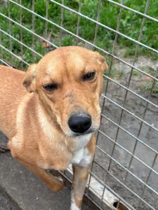 4ca69dc3-917a-4124-b514-d6ff6d30a3a9