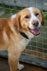 624594176_2112775449542730_764212690640208461_n