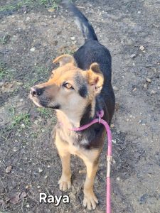 WhatsApp Image 2026-01-05 at 21.58.05