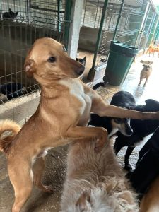 WhatsApp Image 2026-02-12 at 09.42.47 (3)