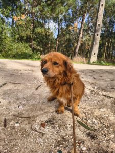 WhatsApp Image 2026-02-13 at 20.44.01