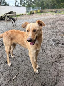 WhatsApp Image 2026-02-16 at 10.05.50 (1)