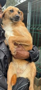 WhatsApp Image 2026-02-17 at 19.44.58 (1)