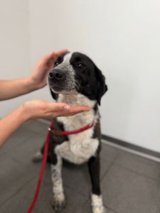 WhatsApp Image 2026-02-23 at 11.09.55