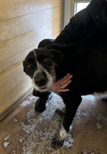 WhatsApp Image 2026-02-23 at 18.12.05 (2)