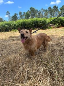 e79be9d5-1e17-4048-98a3-f4674aaaf81e