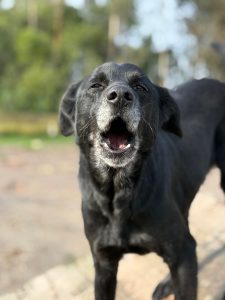 WhatsApp Image 2026-02-25 at 13.35.41 (2)