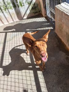 WhatsApp Image 2026-02-26 at 22.27.48