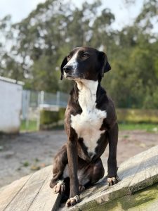 WhatsApp Image 2026-03-03 at 09.07.09